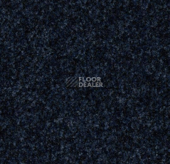 Грязезащитные покрытия Forbo Coral Brush 5727 Stratos Blue фото 1 | FLOORDEALER